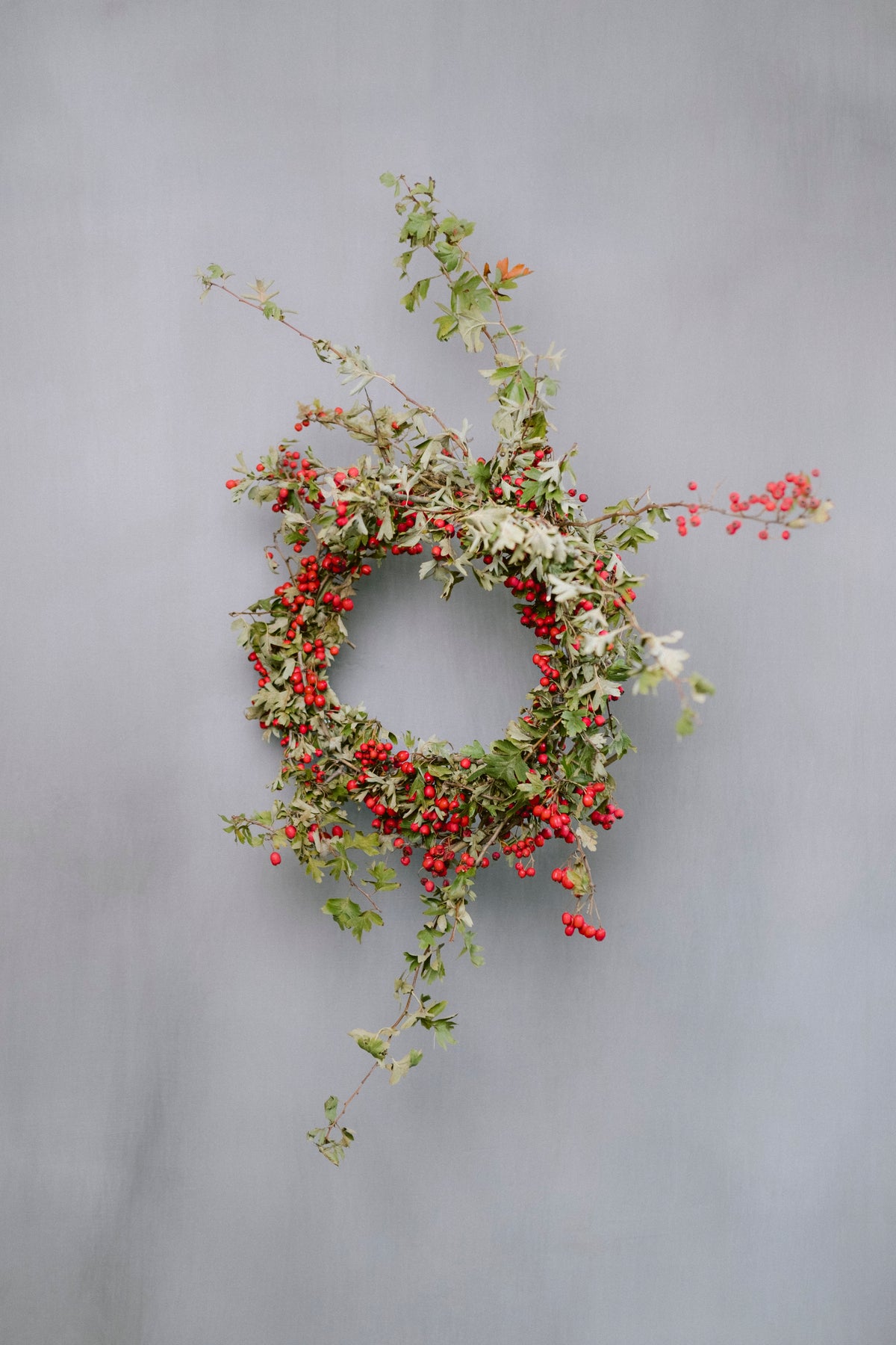Studio, Stile e Progettazione - 4/5/6 Novembre