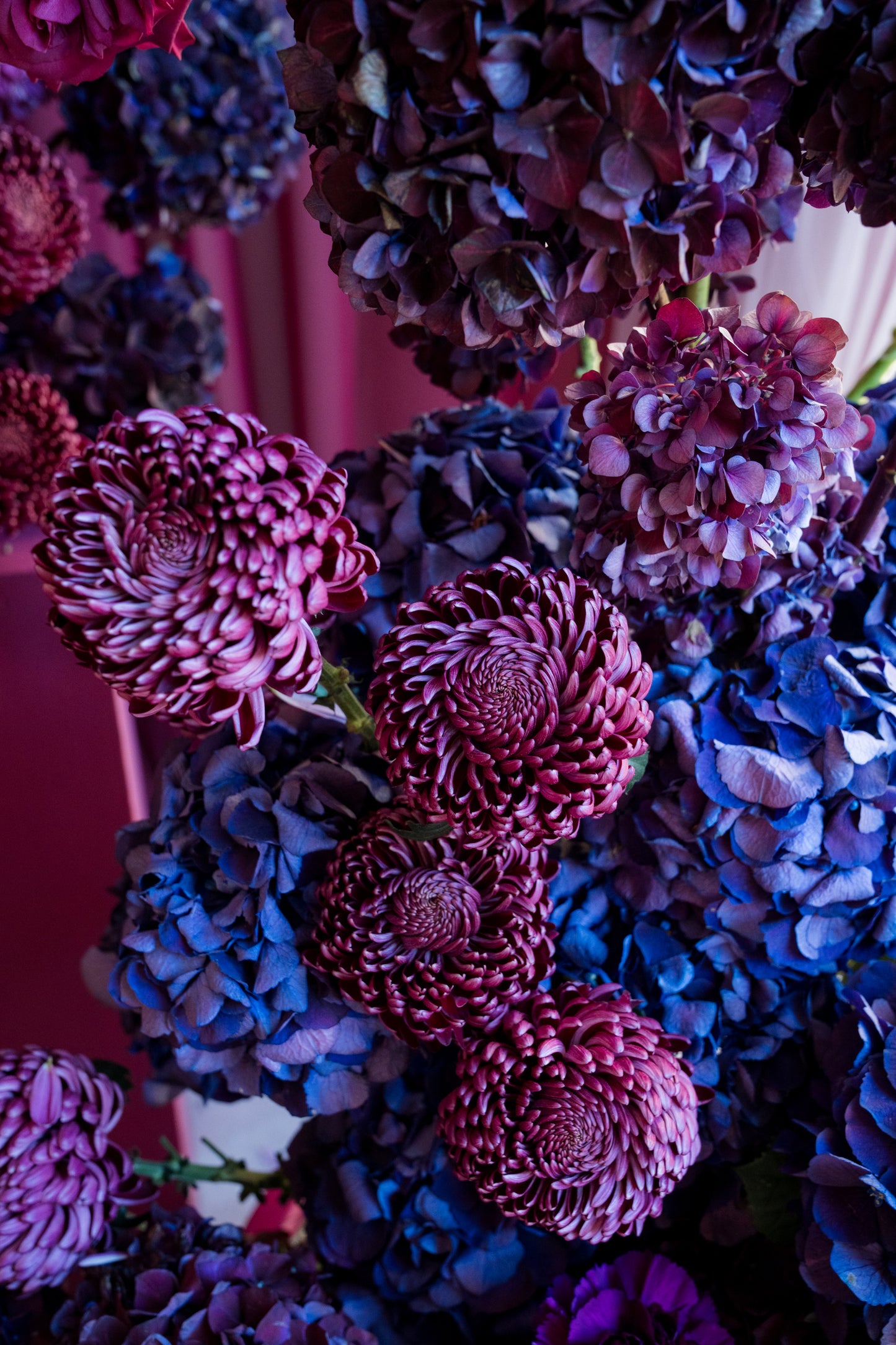 Contemporary Florals - 24/25/26 Novembre
