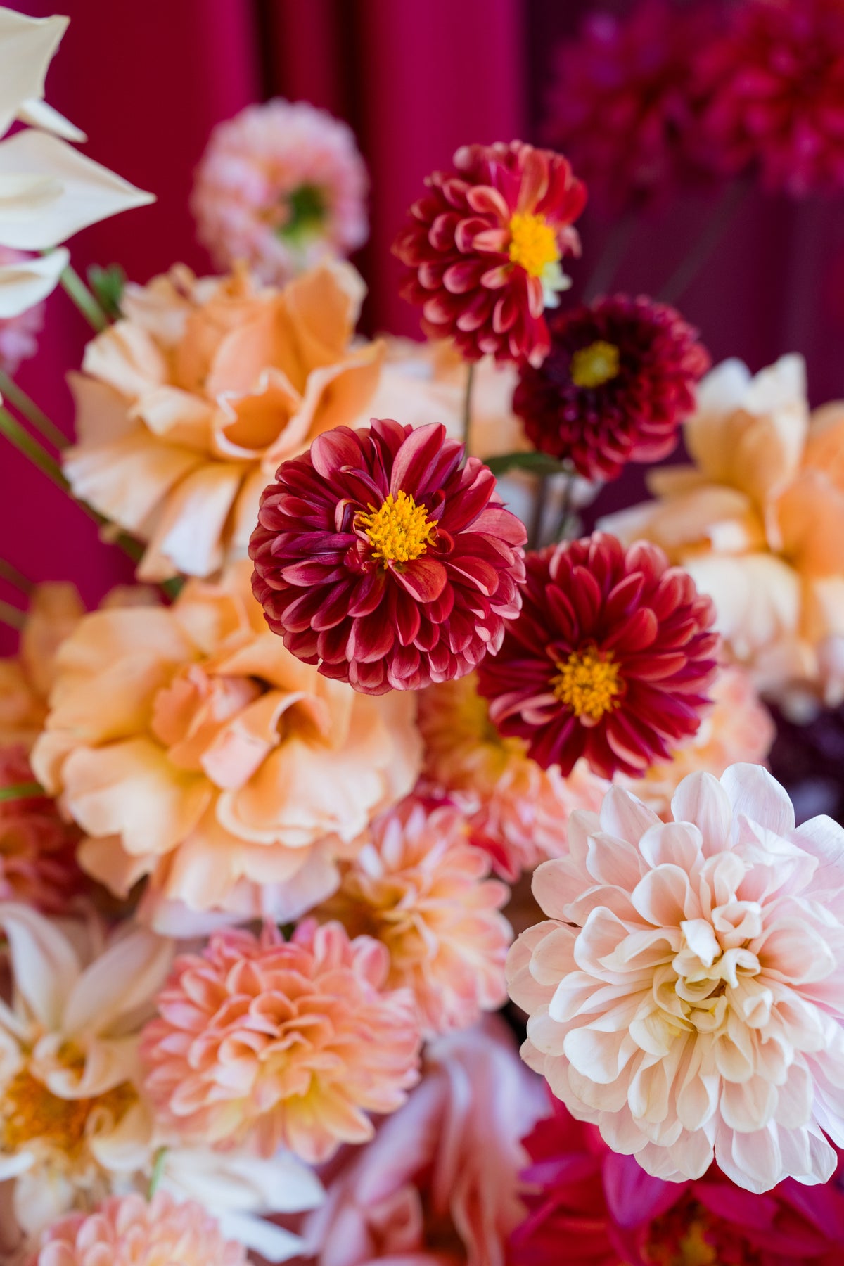Flower School Percorso Completo - Autunno 2026 / Primavera 2027