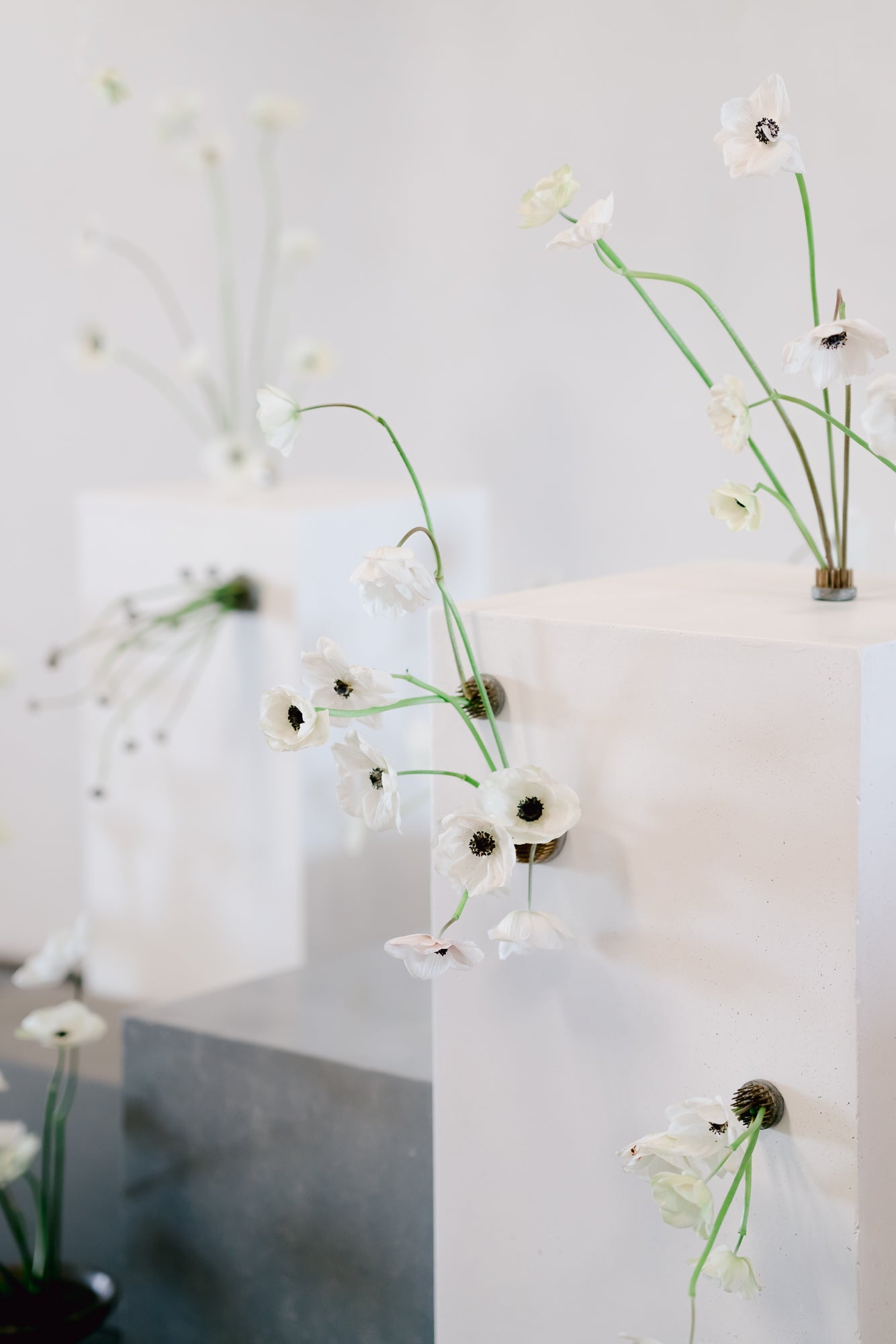 I Principi dell'Ikebana e l'Arte Contemporanea - 4 Dicembre