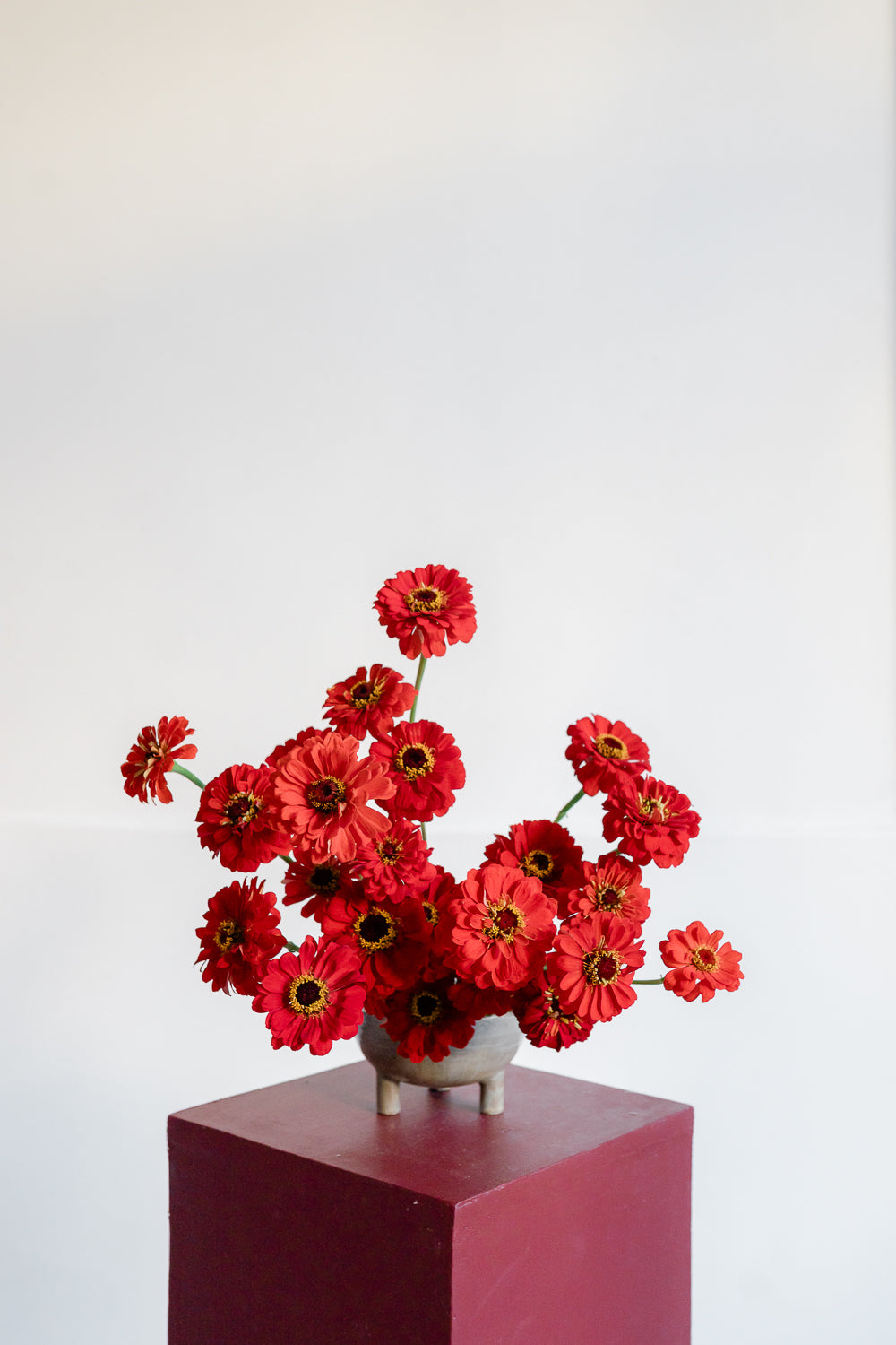 Contemporary Florals - 25/26/27 Marzo