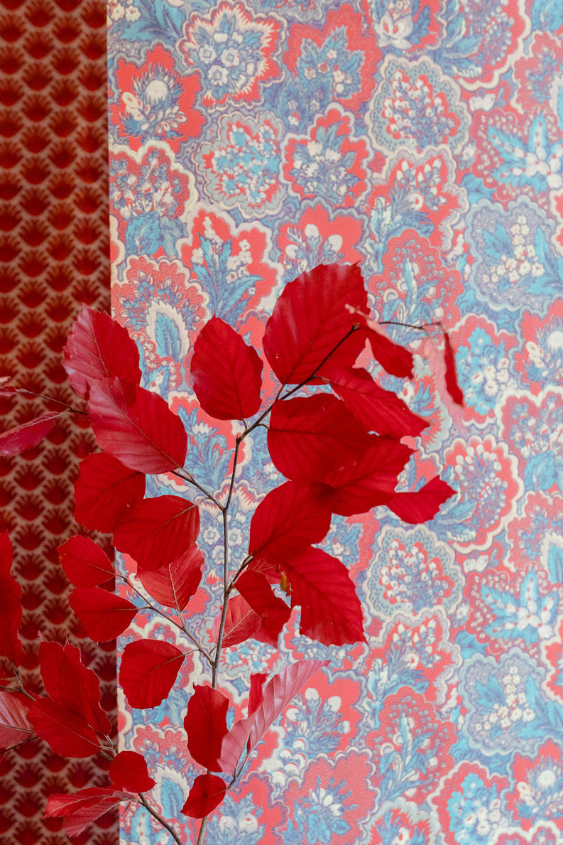 Studio, Stile e Progettazione - 4/5/6 Novembre