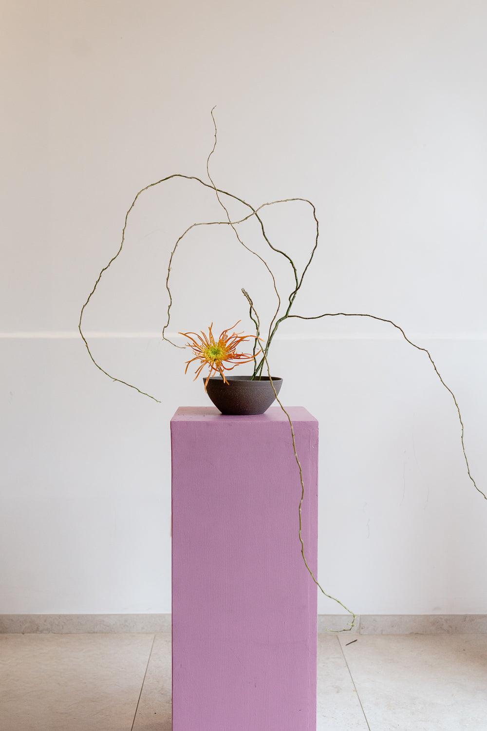 I Principi dell'Ikebana e l'Arte Contemporanea - 28 Marzo