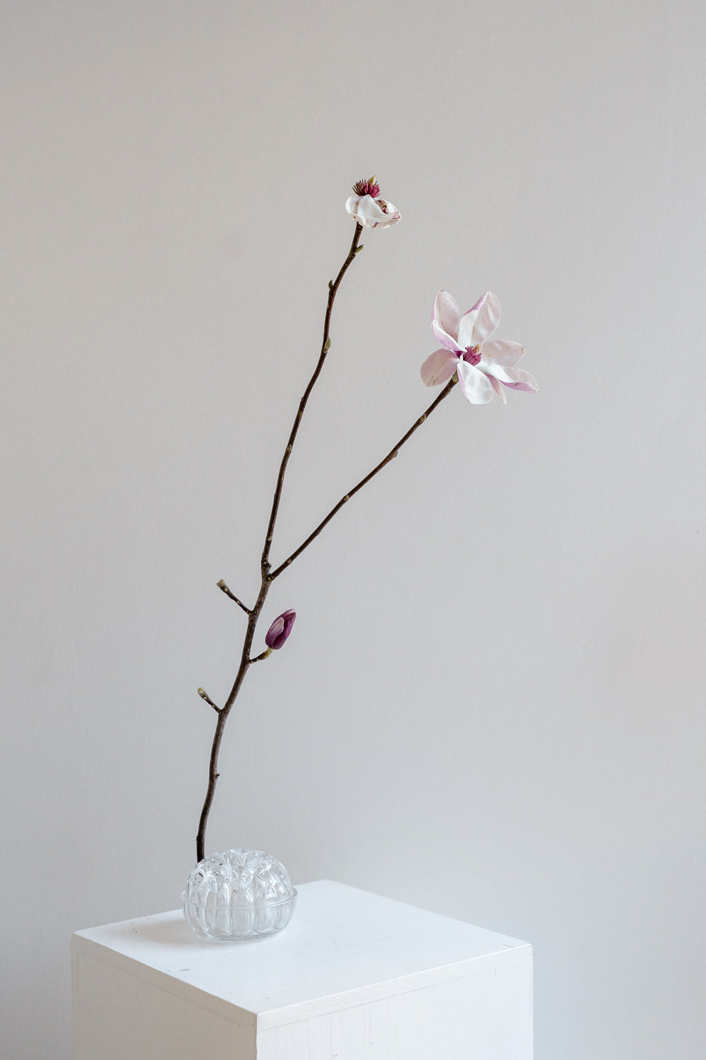 I Principi dell'Ikebana e l'Arte Contemporanea - 4 Dicembre