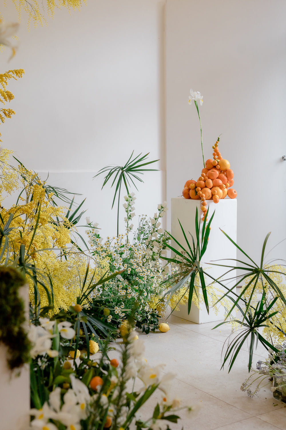 Studio, Stile e Progettazione - 8/9/10 Aprile