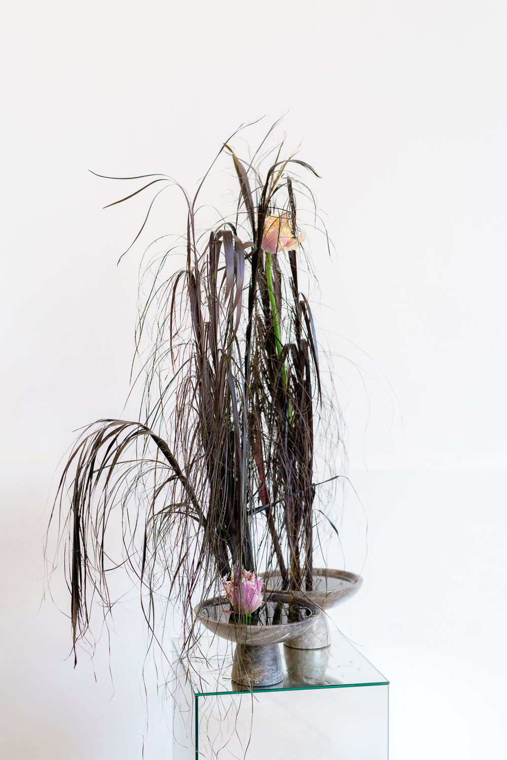 Flower School Percorso Completo - Autunno 2026 / Primavera 2027